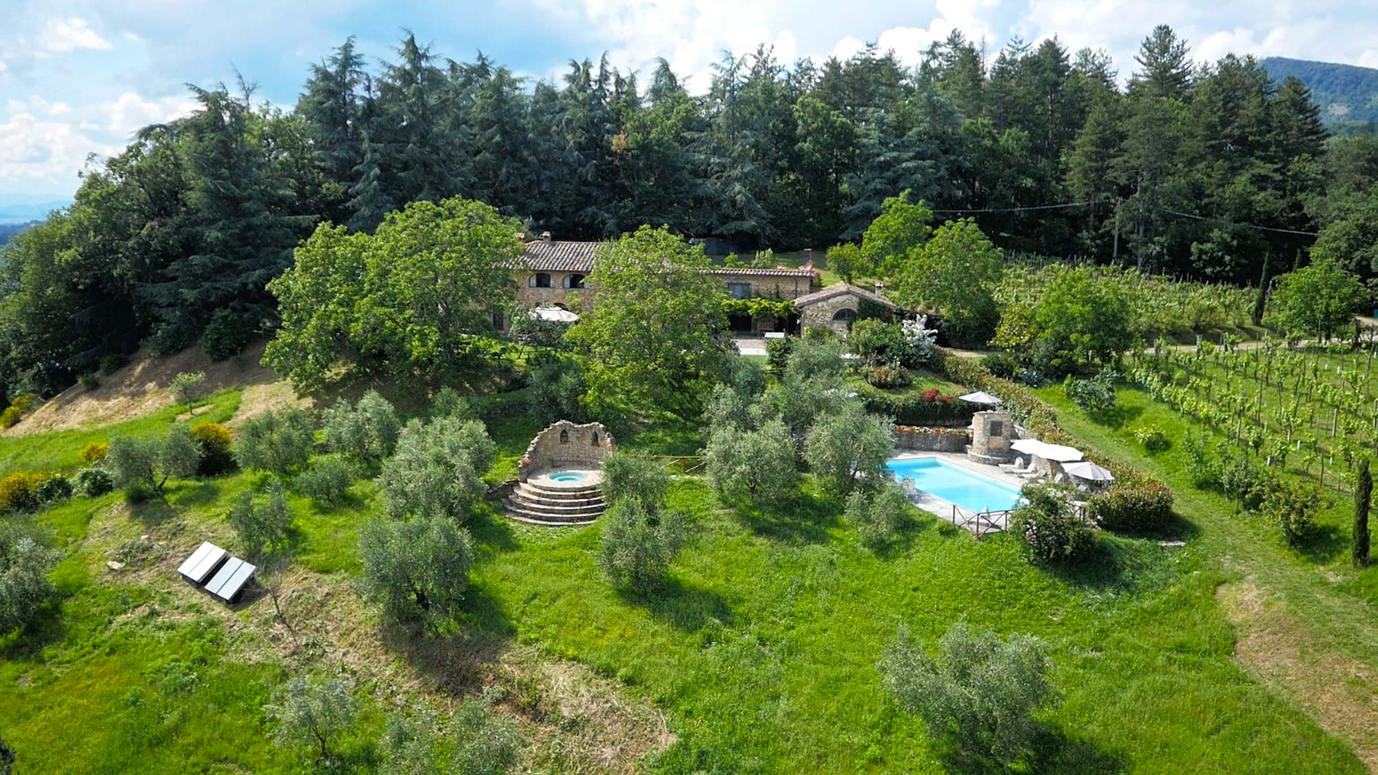 Foto aerea della villa con piscina e idromassaggio